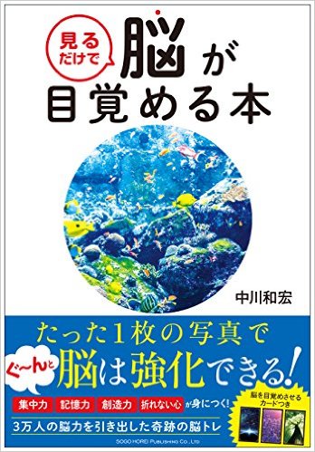 見るだけでシリーズ　第２弾　発売されました！