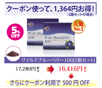 ワイルドブルーベリー100 2個セット