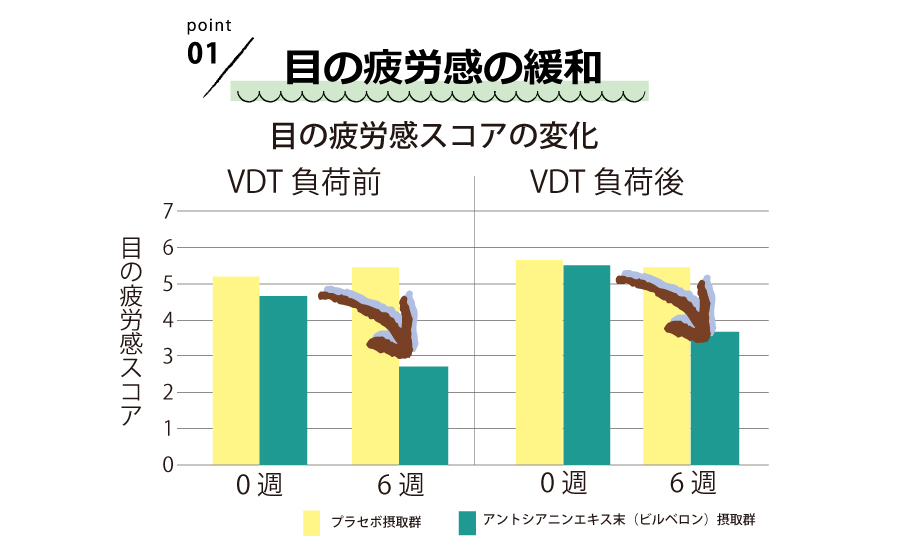 目の疲労感の緩和