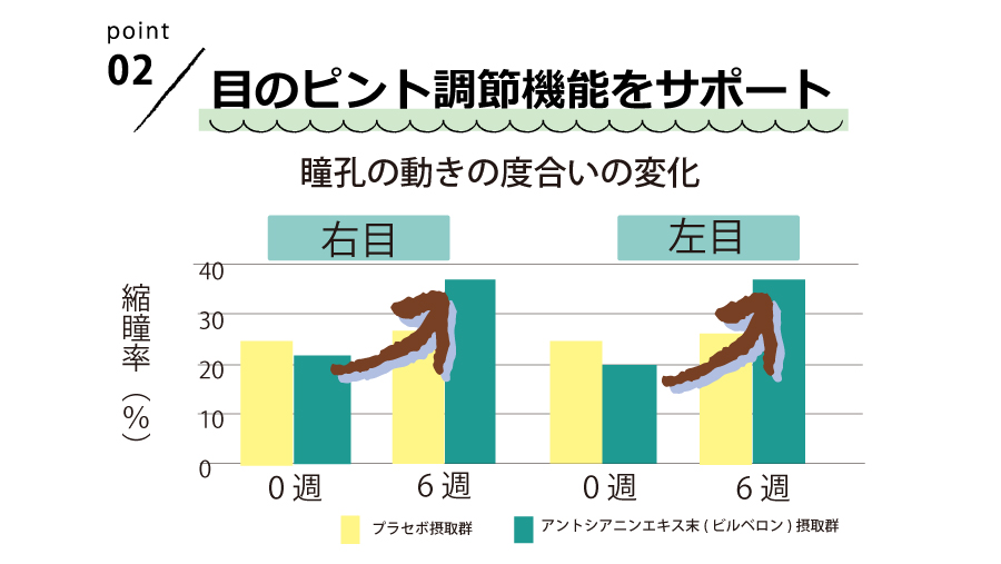 目のピント調節機能をサポート