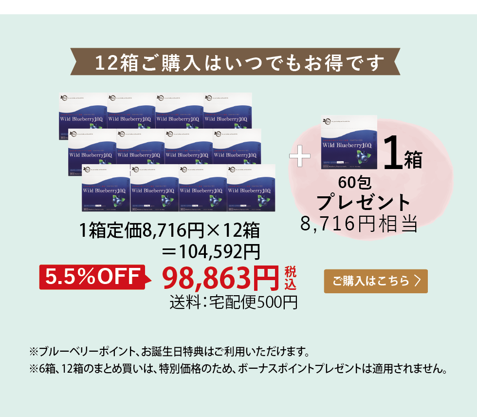ワイルドブルーベリー100 12箱セットはいつでもお得