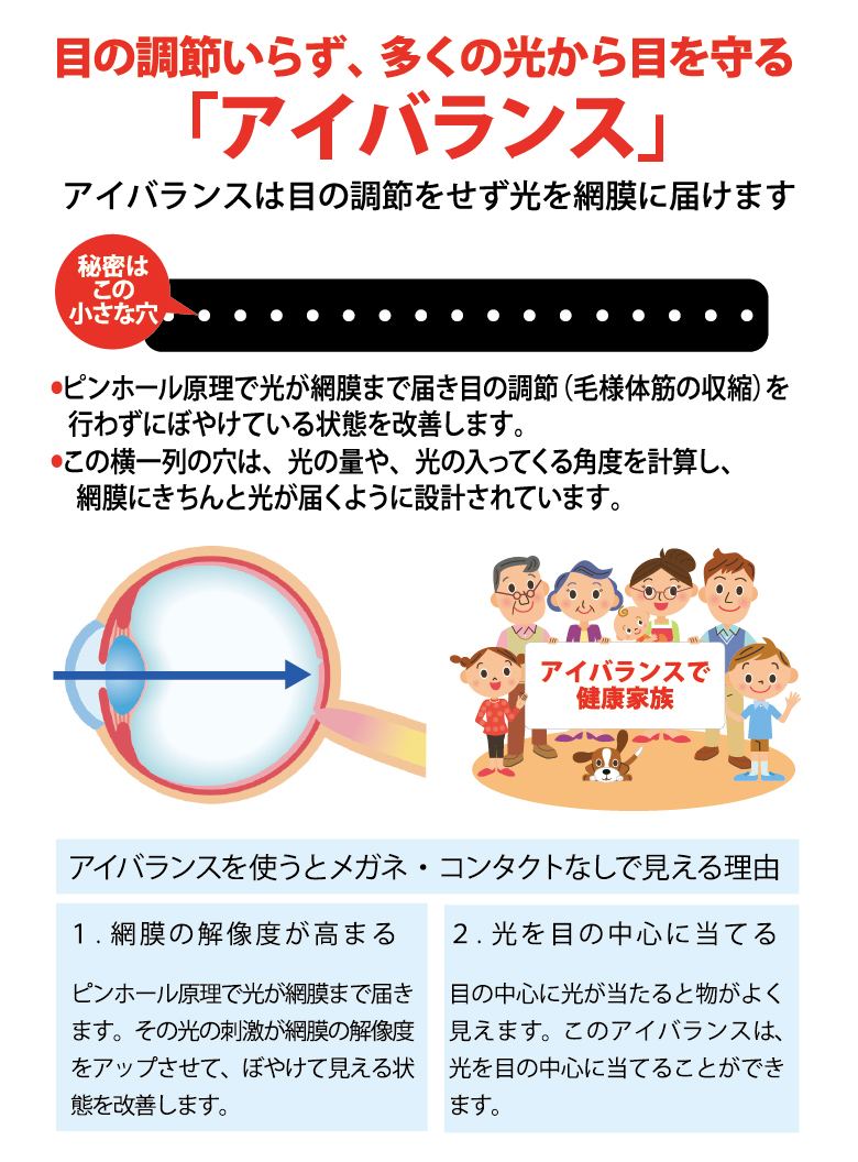 アイバランス 小冊子付 株式会社ブルーベリー