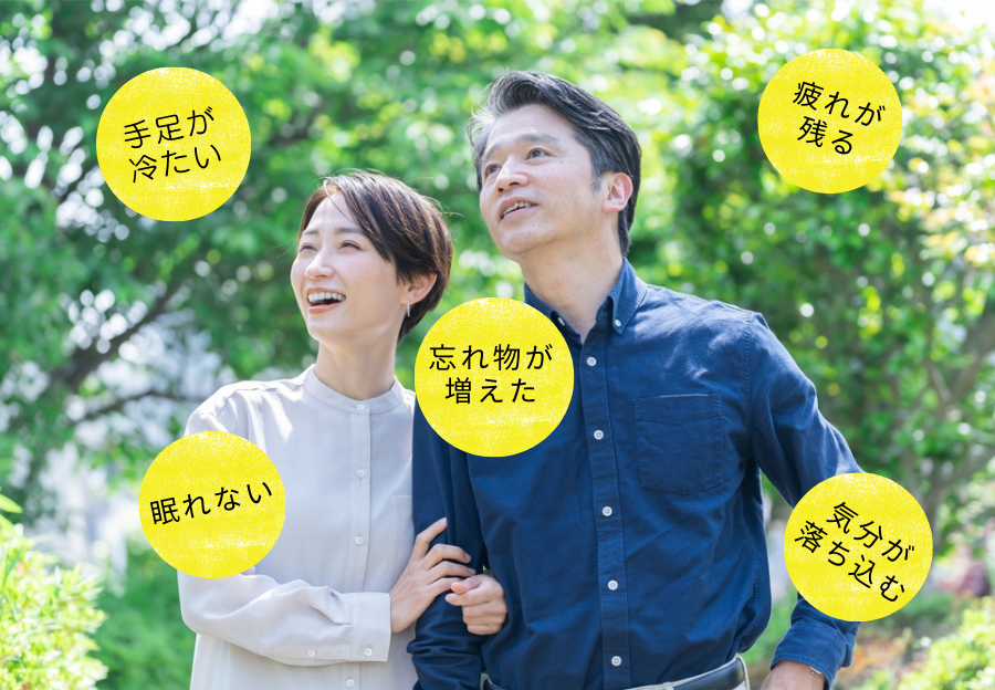 手足が冷たい　疲れが残る　物忘れが増えた　眠れない　気分が落ち込む