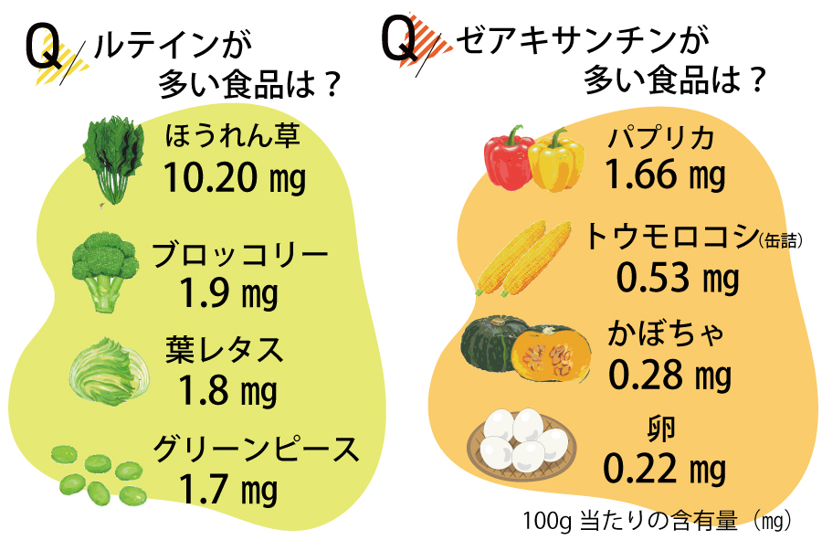 ルテインが多い食品は？ほうれん草・ブロッコリー・葉レタス　ゼアキサンチンが多い食品は？パプリカ・トウモロコシ・かぼちゃ・卵